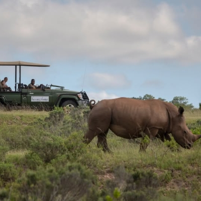 Honeymoon News: How to plan the perfect safari honeymoon