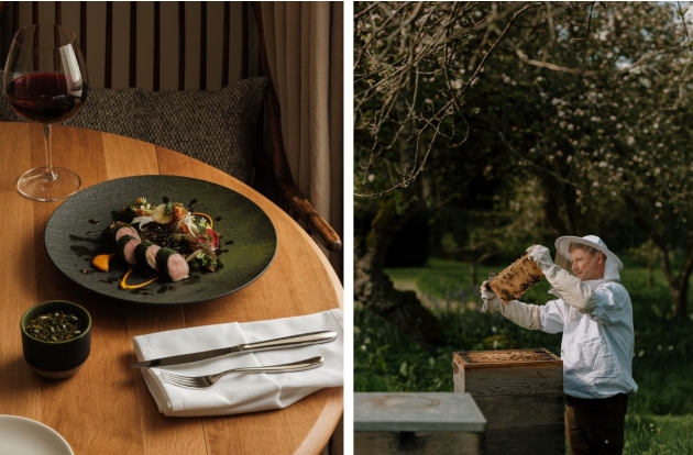 plate of food in one image, and a man work with bees on another image